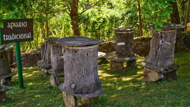 Honey living museum. “O Enredo do abelleiro”